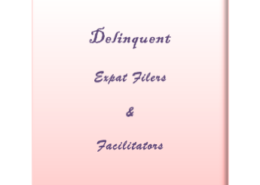 Deliquent Expat Filers and Facilitators 1